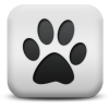 Captcha image 9321